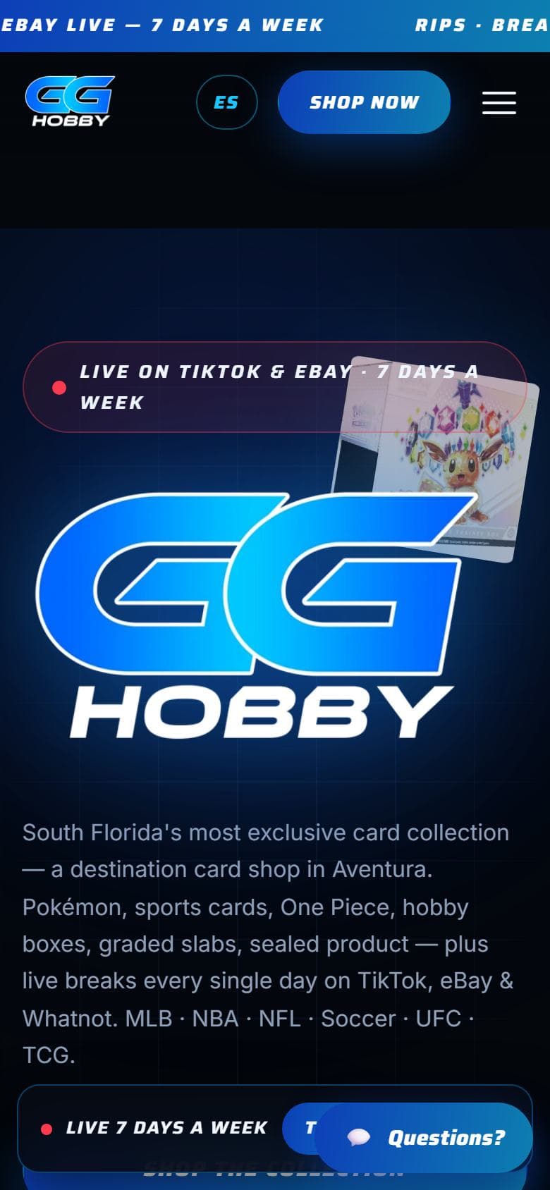 GG Hobby website, mobile